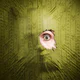 Backrooms Descent: ホラーゲーム icon
