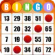 Absolute Bingo icon
