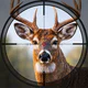 Apex Hunter: Animal Shooting icon