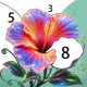 Blossom Color By Number icon