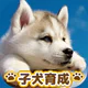 子犬のかわいい育成ゲーム - 癒しの犬育成アプリ icon