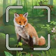 Forêt Mixte™ Smart Counter icon