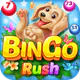 Bingo Rush - Club Bingo Games icon