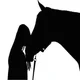 Chevaux - Quiz icon
