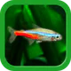 熱帯魚育成「ミニアクア」癒しのアクアリウム体験 icon