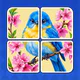 Jigsawcard Solitaire Puzzle icon