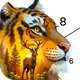 Wild Color - Paint by Number icon