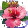 Jeux de coloriage Zen Color icon
