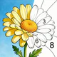 Color Oasis - Color by Number icon