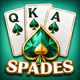 Spades For Seniors: Card Game icon
