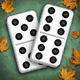 Domino Fever - Tile Master icon