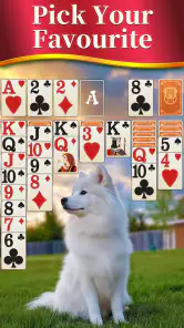 Classic Solitaire : Card Games screenshot