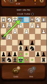 Échecs screenshot