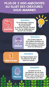 Mots Mêlés Français screenshot